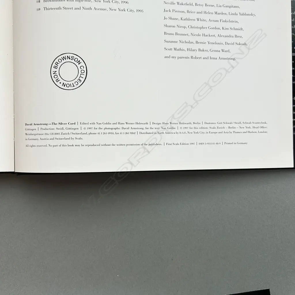 DAVID ARMSTRONG: THE SILVER CORD Image 1++